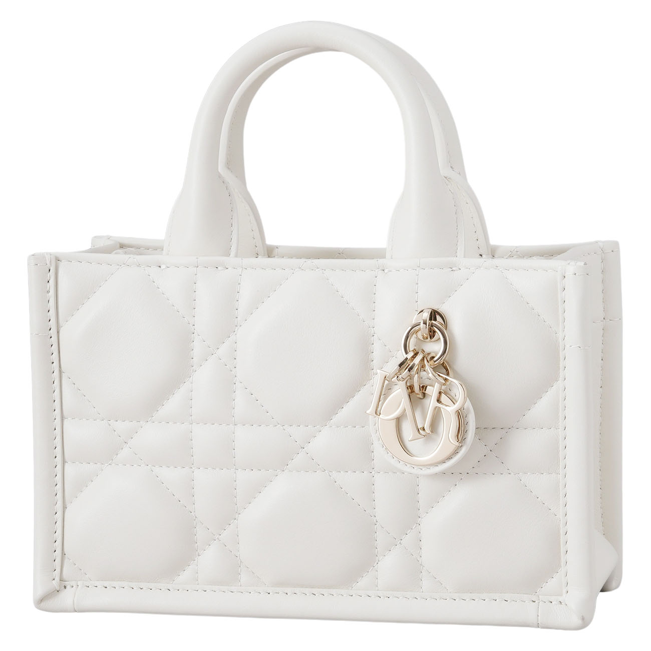 CHRISTIAN DIOR(USED)디올 북토트 미니 백